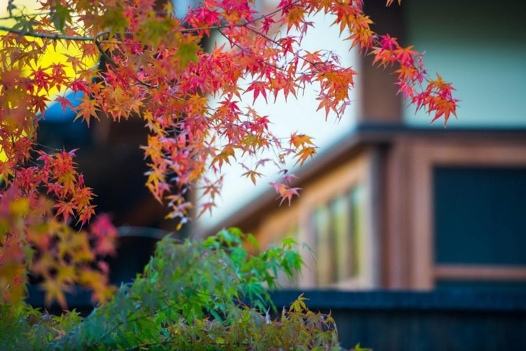 Hotel Miyama Sansou Minamioguni Exterior foto